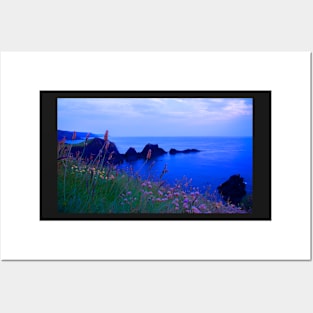 Hartland Headland Posters and Art